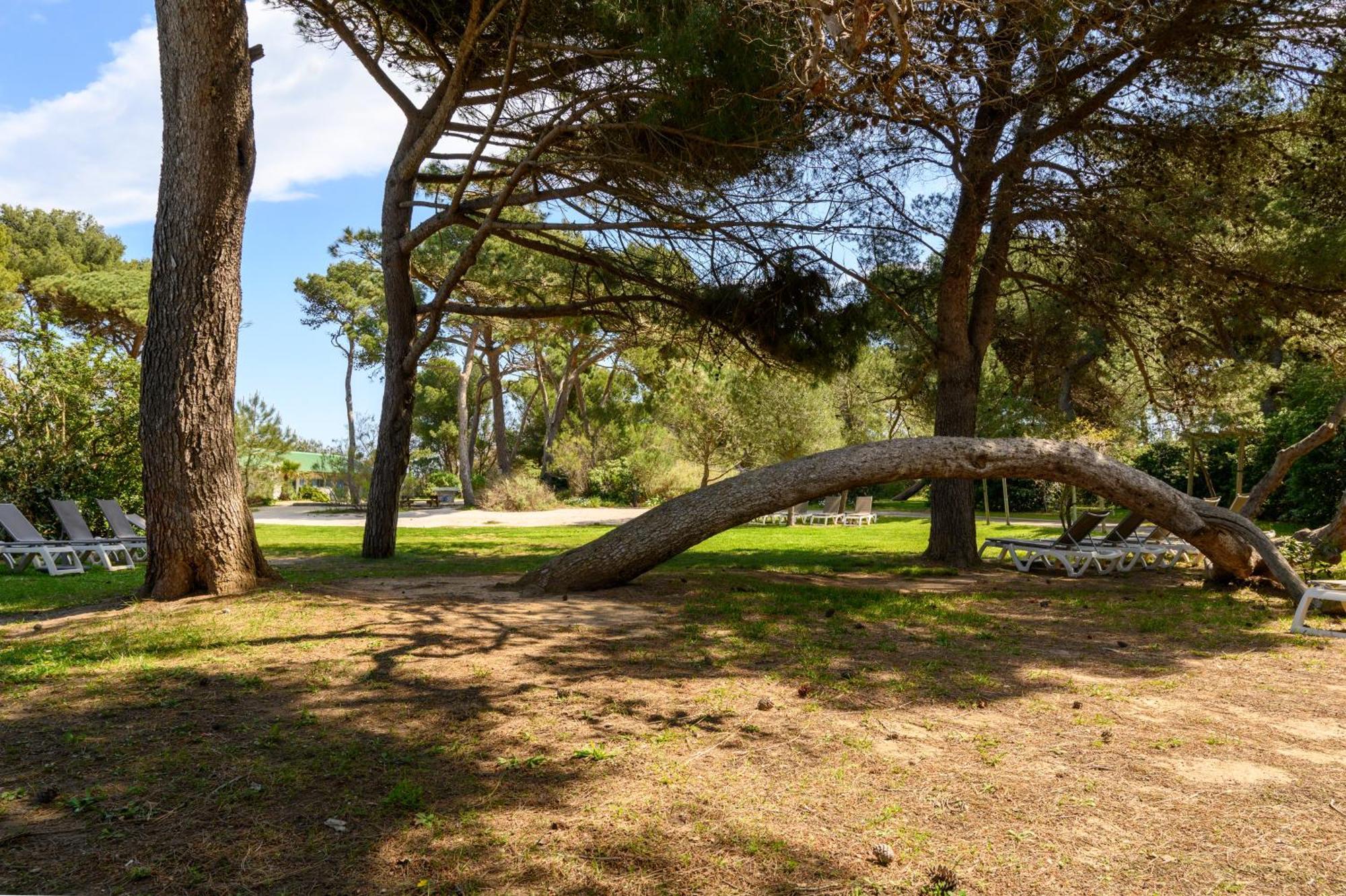 Le Studio De Giens Hyeres Luaran gambar