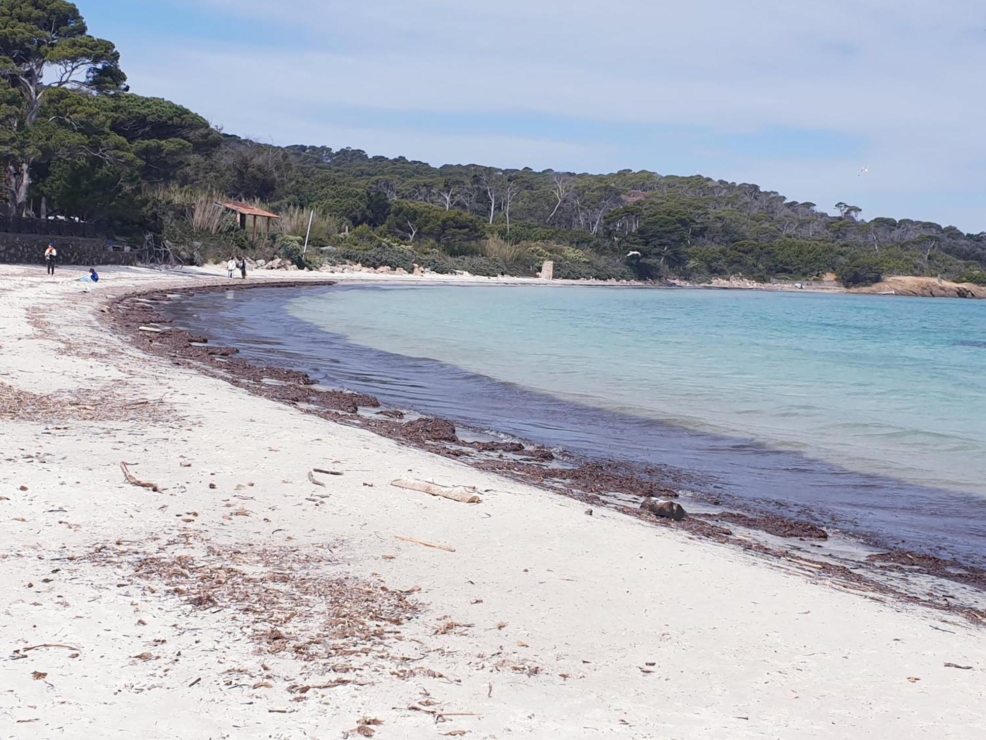 Le Studio De Giens Hyeres Bilik gambar